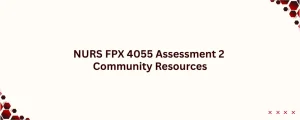NURS FPX 4055 Assessment 2 Community Resources